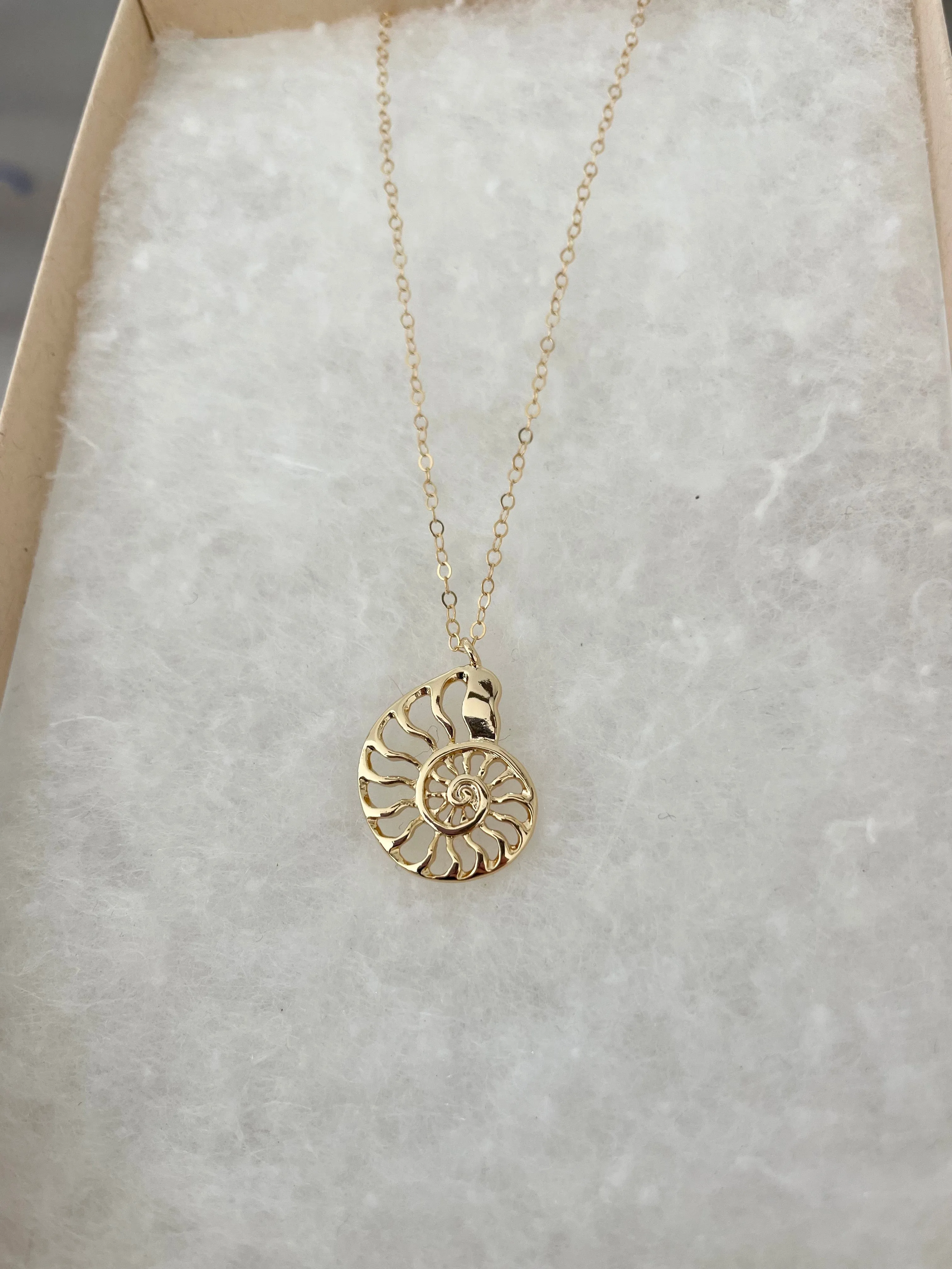 Nautilus Shell Forever Necklace