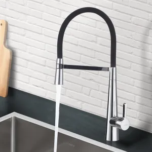 PONTE Kitchen Pull Down Sink Mixer