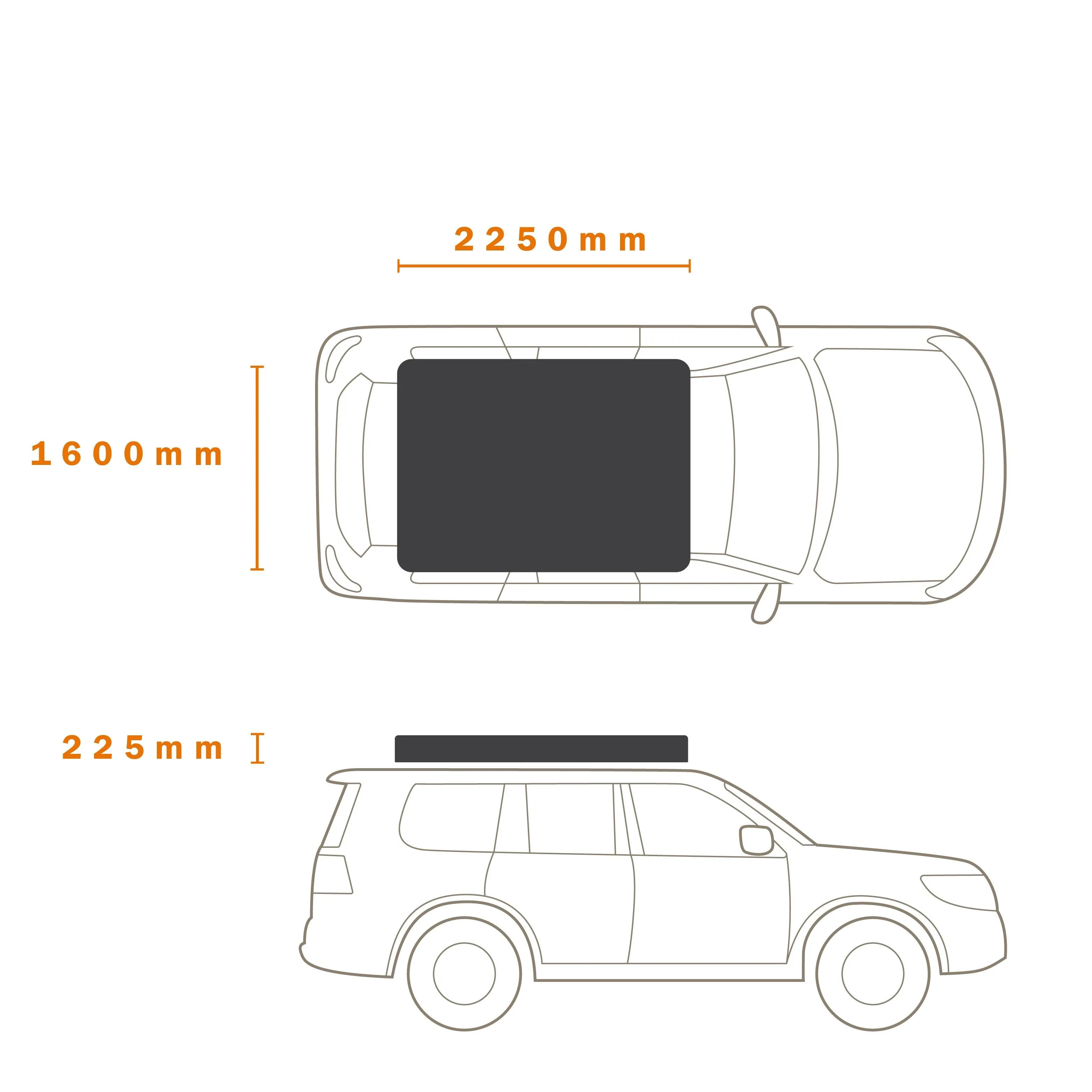 RIDGEBACK HIGHRIZE RTT 1550