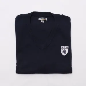 Sweater, Blue V-Neck